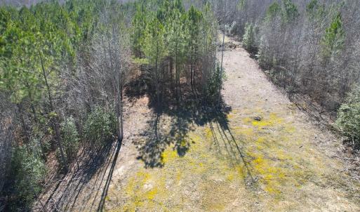 Photo #10 of SOLD property in Off Deer Ridge Rd, Spring Grove, VA 29.9 acres