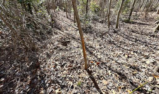 Photo #13 of SOLD property in Off Deer Ridge Rd, Spring Grove, VA 29.9 acres