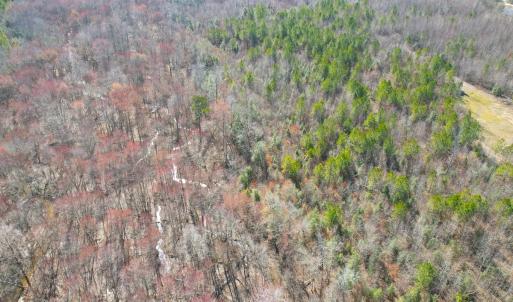 Photo #16 of SOLD property in Off Deer Ridge Rd, Spring Grove, VA 29.9 acres
