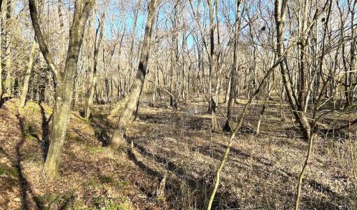 Photo #18 of SOLD property in Off Deer Ridge Rd, Spring Grove, VA 29.9 acres