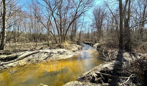 Photo #19 of SOLD property in Off Deer Ridge Rd, Spring Grove, VA 29.9 acres