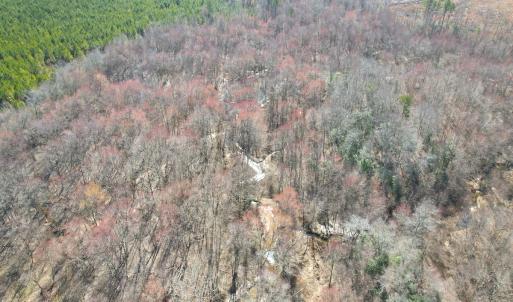 Photo #20 of SOLD property in Off Deer Ridge Rd, Spring Grove, VA 29.9 acres