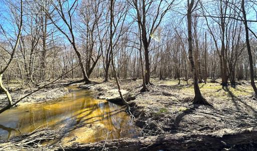 Photo #21 of SOLD property in Off Deer Ridge Rd, Spring Grove, VA 29.9 acres