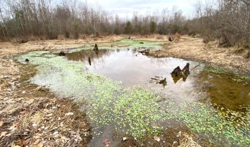 Photo #23 of SOLD property in Off Deer Ridge Rd, Spring Grove, VA 29.9 acres