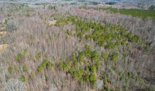 Photo #24 of SOLD property in Off Deer Ridge Rd, Spring Grove, VA 29.9 acres