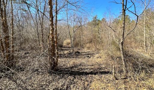 Photo #25 of SOLD property in Off Deer Ridge Rd, Spring Grove, VA 29.9 acres