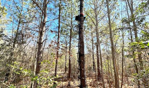 Photo #27 of SOLD property in Off Deer Ridge Rd, Spring Grove, VA 29.9 acres