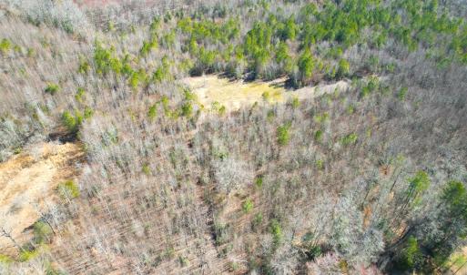 Photo #4 of SOLD property in Off Deer Ridge Rd, Spring Grove, VA 29.9 acres