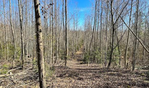 Photo #6 of SOLD property in Off Deer Ridge Rd, Spring Grove, VA 29.9 acres
