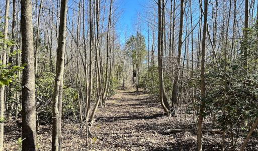 Photo #8 of SOLD property in Off Deer Ridge Rd, Spring Grove, VA 29.9 acres