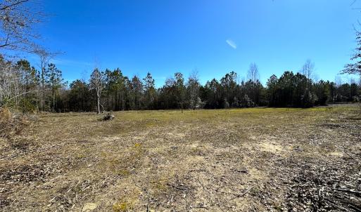 Photo #9 of SOLD property in Off Deer Ridge Rd, Spring Grove, VA 29.9 acres