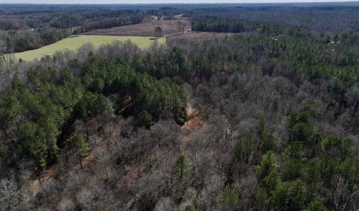 Photo #10 of SOLD property in 657 Collins Mill Rd, Castalia, NC 104.8 acres