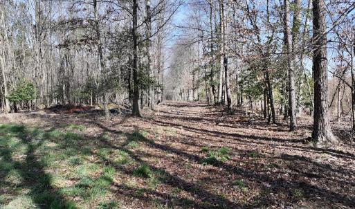 Photo #11 of SOLD property in 657 Collins Mill Rd, Castalia, NC 104.8 acres