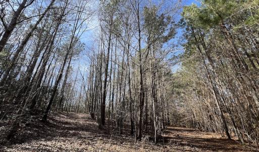 Photo #43 of SOLD property in 657 Collins Mill Rd, Castalia, NC 104.8 acres