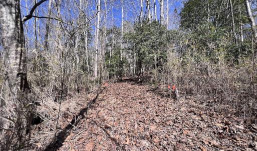 Photo #44 of SOLD property in 657 Collins Mill Rd, Castalia, NC 104.8 acres