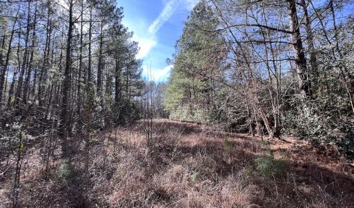 Photo #45 of SOLD property in 657 Collins Mill Rd, Castalia, NC 104.8 acres