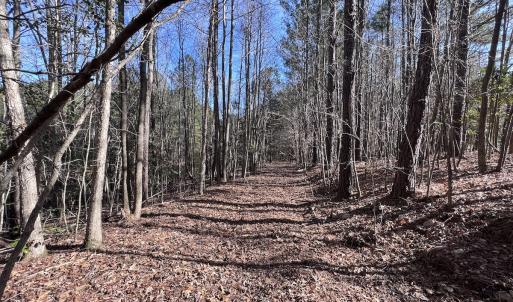 Photo #46 of SOLD property in 657 Collins Mill Rd, Castalia, NC 104.8 acres