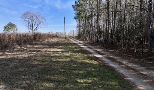 Photo #47 of SOLD property in 657 Collins Mill Rd, Castalia, NC 104.8 acres