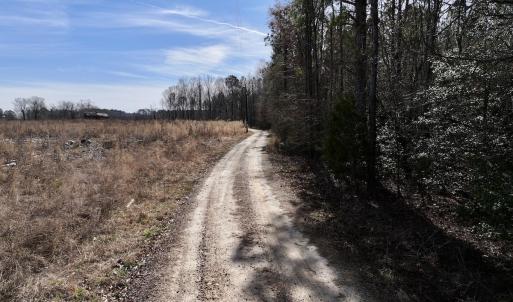 Photo #48 of SOLD property in 657 Collins Mill Rd, Castalia, NC 104.8 acres