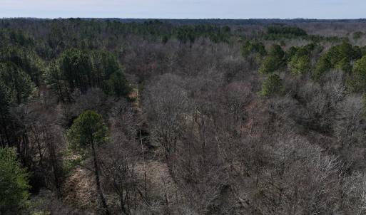 Photo #53 of SOLD property in 657 Collins Mill Rd, Castalia, NC 104.8 acres