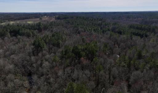 Photo #58 of SOLD property in 657 Collins Mill Rd, Castalia, NC 104.8 acres