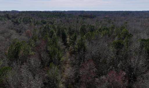 Photo #59 of SOLD property in 657 Collins Mill Rd, Castalia, NC 104.8 acres