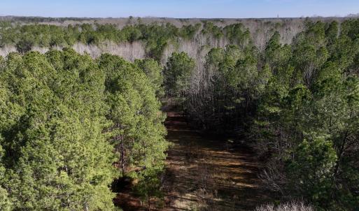 Photo #7 of SOLD property in 657 Collins Mill Rd, Castalia, NC 104.8 acres