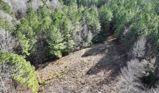 Photo #61 of SOLD property in 657 Collins Mill Rd, Castalia, NC 104.8 acres