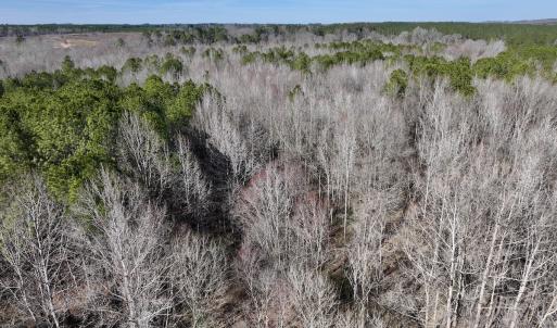 Photo #62 of SOLD property in 657 Collins Mill Rd, Castalia, NC 104.8 acres