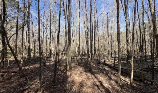 Photo #64 of SOLD property in 657 Collins Mill Rd, Castalia, NC 104.8 acres