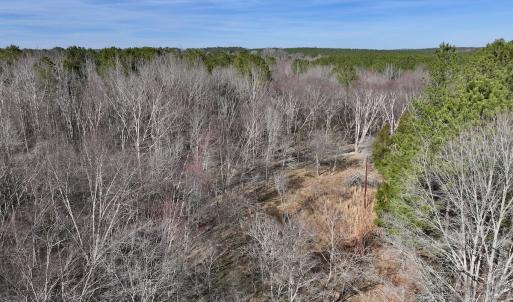 Photo #72 of SOLD property in 657 Collins Mill Rd, Castalia, NC 104.8 acres