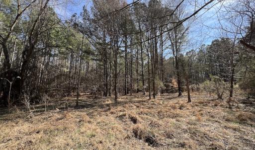 Photo #74 of SOLD property in 657 Collins Mill Rd, Castalia, NC 104.8 acres