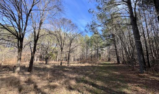 Photo #75 of SOLD property in 657 Collins Mill Rd, Castalia, NC 104.8 acres