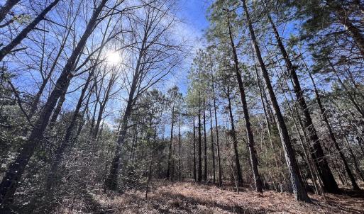 Photo #76 of SOLD property in 657 Collins Mill Rd, Castalia, NC 104.8 acres