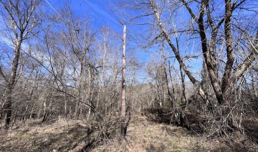 Photo #78 of SOLD property in 657 Collins Mill Rd, Castalia, NC 104.8 acres