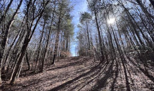 Photo #84 of SOLD property in 657 Collins Mill Rd, Castalia, NC 104.8 acres
