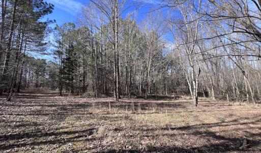 Photo #85 of SOLD property in 657 Collins Mill Rd, Castalia, NC 104.8 acres