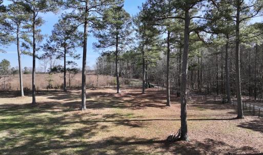 Photo #87 of SOLD property in 657 Collins Mill Rd, Castalia, NC 104.8 acres
