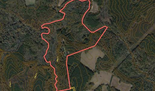 Photo #88 of SOLD property in 657 Collins Mill Rd, Castalia, NC 104.8 acres