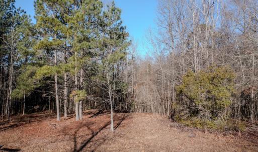 Photo #11 of 4068 Midway Road, Maxton, NC 115.3 acres