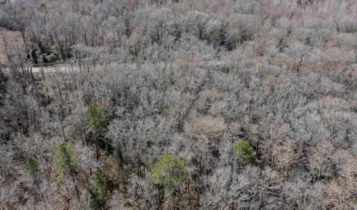 Photo #14 of 4068 Midway Road, Maxton, NC 115.3 acres
