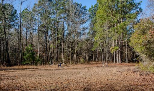 Photo #15 of 4068 Midway Road, Maxton, NC 115.3 acres