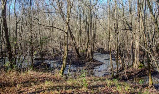 Photo #17 of SOLD property in 4068 Midway Road, Maxton, NC 115.3 acres