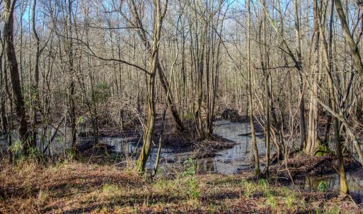 Photo #17 of 4068 Midway Road, Maxton, NC 115.3 acres
