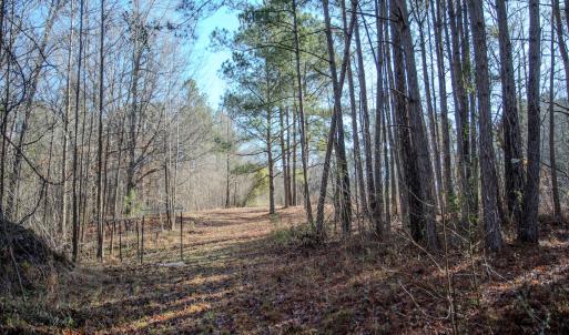 Photo #18 of 4068 Midway Road, Maxton, NC 115.3 acres