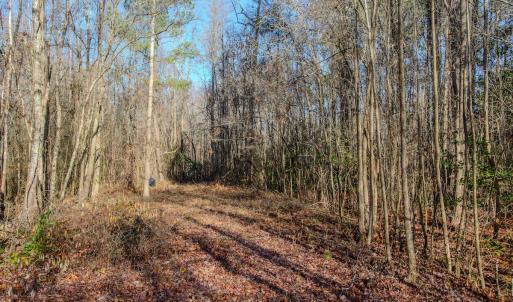 Photo #19 of SOLD property in 4068 Midway Road, Maxton, NC 115.3 acres