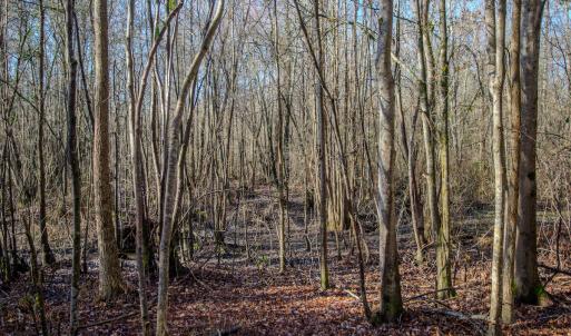 Photo #20 of SOLD property in 4068 Midway Road, Maxton, NC 115.3 acres