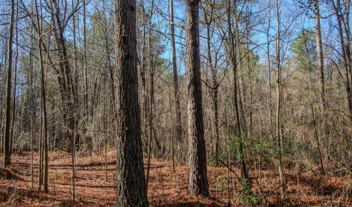 Photo #22 of 4068 Midway Road, Maxton, NC 115.3 acres