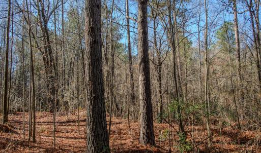 Photo #22 of SOLD property in 4068 Midway Road, Maxton, NC 115.3 acres