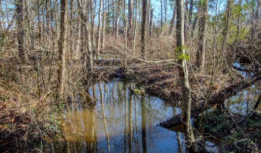 Photo #25 of SOLD property in 4068 Midway Road, Maxton, NC 115.3 acres